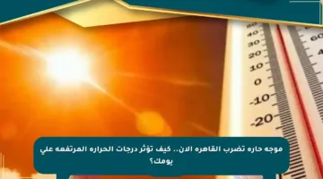 موجة حارة تضرب القاهرة الآن.. كيف تؤثر درجات الحرارة المرتفعة على يومك؟